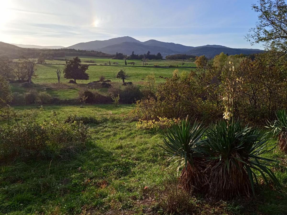 Maison Calme Avec Piscine Entouree De Son Parc Quintenas Kültér fotó