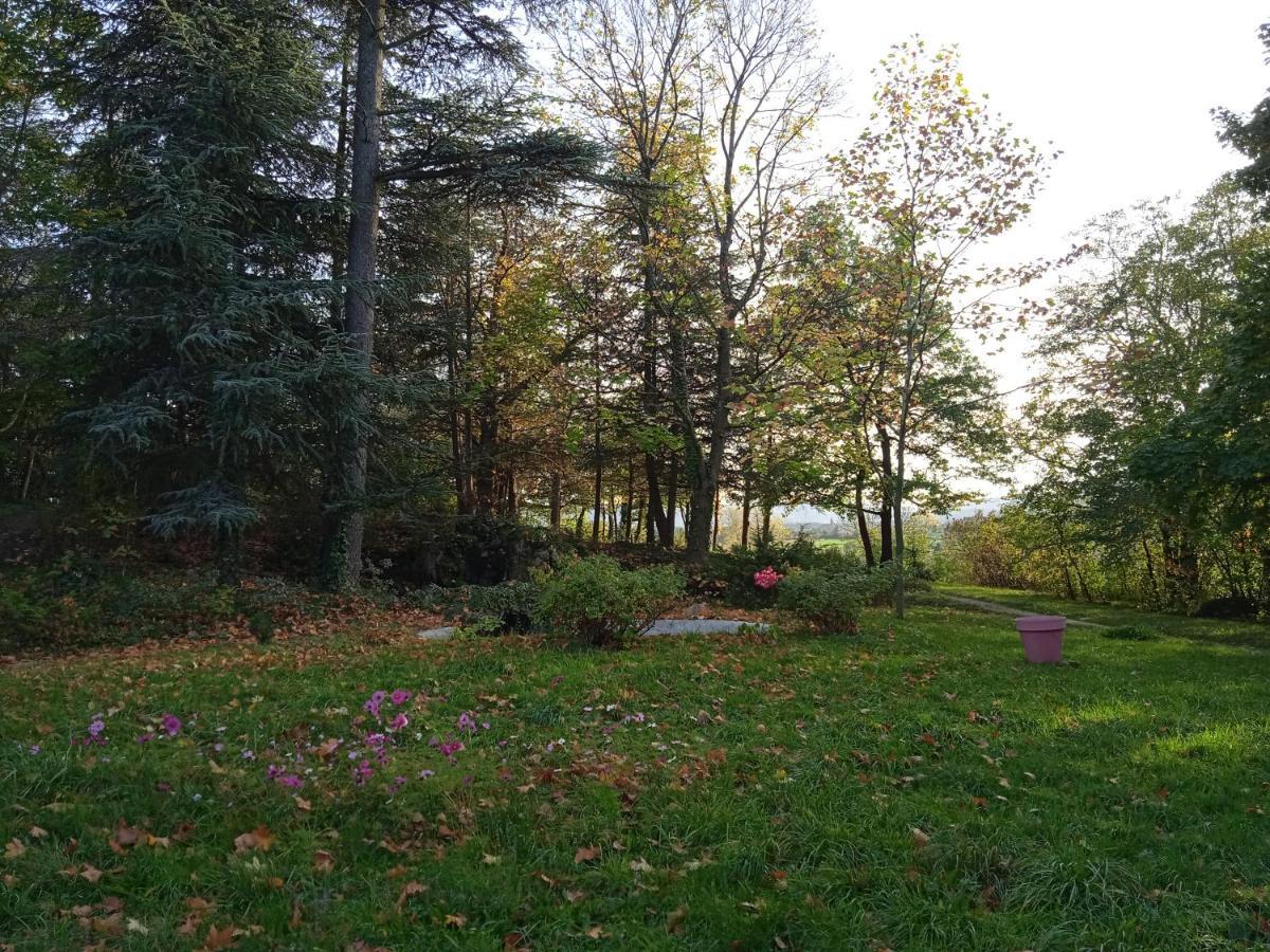 Maison Calme Avec Piscine Entouree De Son Parc Quintenas Kültér fotó